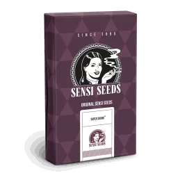 Sensi Seeds Super Skunk® - 10 Semillas