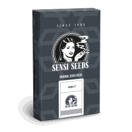 Sensi Seeds Skunk 1 Automatic® - 10 Semillas