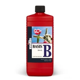 Mills Basis B 10L