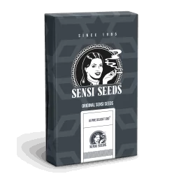 Sensi Seeds Alpine Delight CBD ® CBD Auto - 1 Semillas