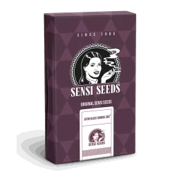 Sensi Seeds Satin Black Domina CBD®CBD - 1 Semillas
