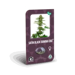 Sensi Seeds Satin Black Domina CBD®CBD - 1 Semillas