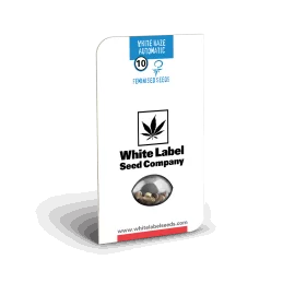 White Label White Haze Automatic - 1 Semillas