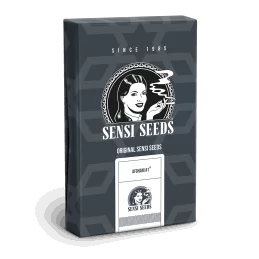 Sensi Seeds Afghani 1 Automatic® -1 Semillas