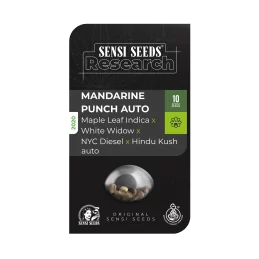 Sensi Seeds Mandarin Punch Auto- 1 Semillas