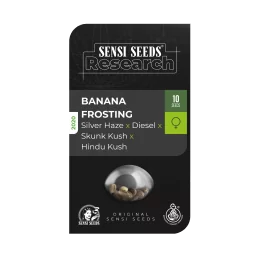 Sensi Seeds Banana Frosting - 1 Semillas