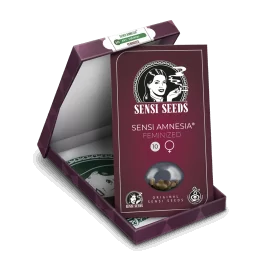 Sensi Seeds Sensi Amnesia ® - 10 Semillas