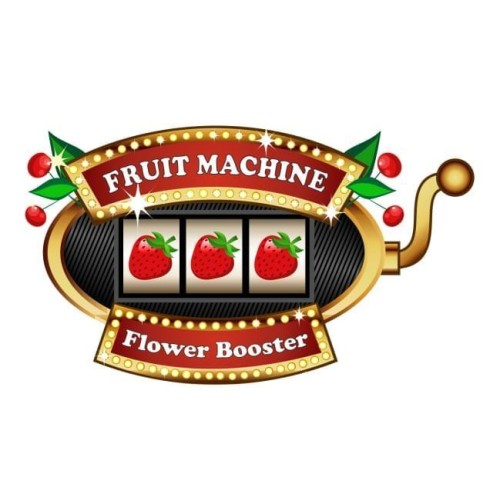 Fruit Machine